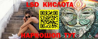мяу мяу мука Краснознаменск