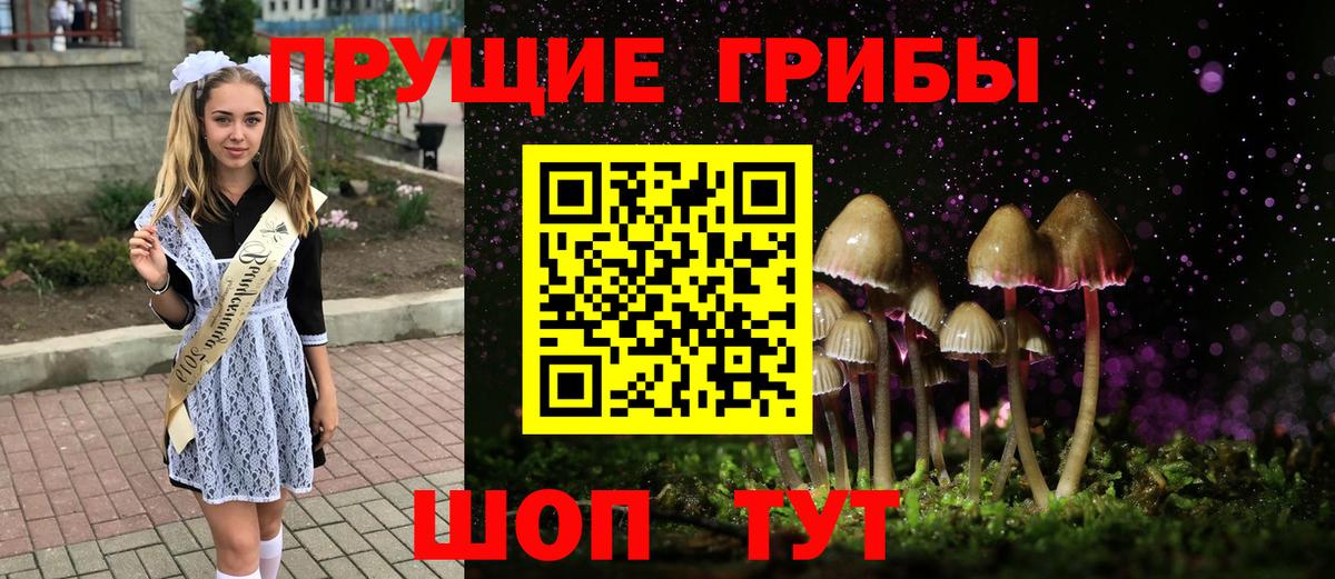 Псилоцибиновые грибы мухоморы Камень-на-Оби
